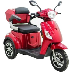 Triciclo Elétrico Sousa Motos TRE48V 600W 48V