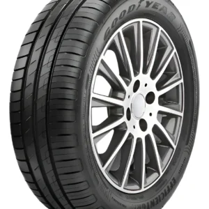 Pneu Goodyear EfficientGrip Performance 195/65 R15 91H